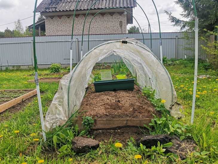 Преимущества мобильных грядок для ограниченного пространства