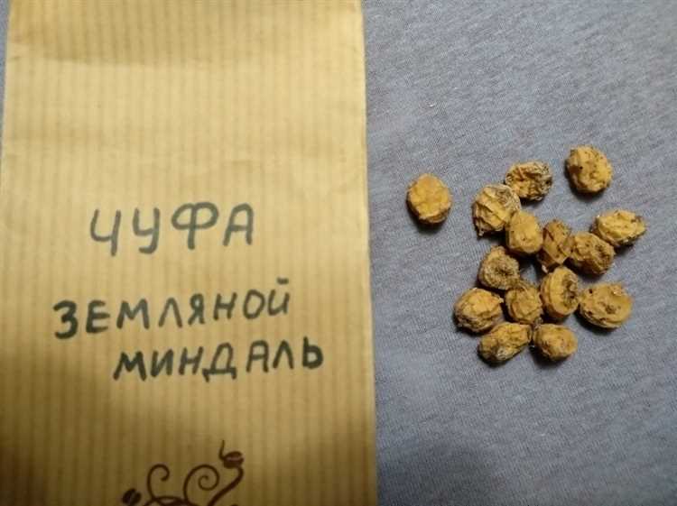 Возможные противопоказания и вред чуфы для организма