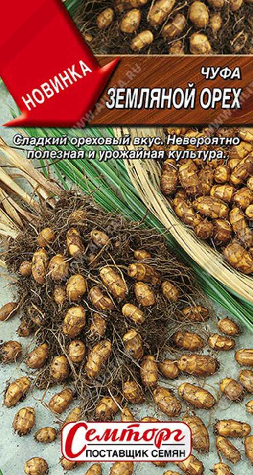 Осень