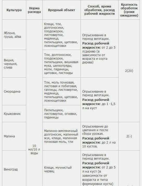 Определение оптимального времени обработки клубники препаратом