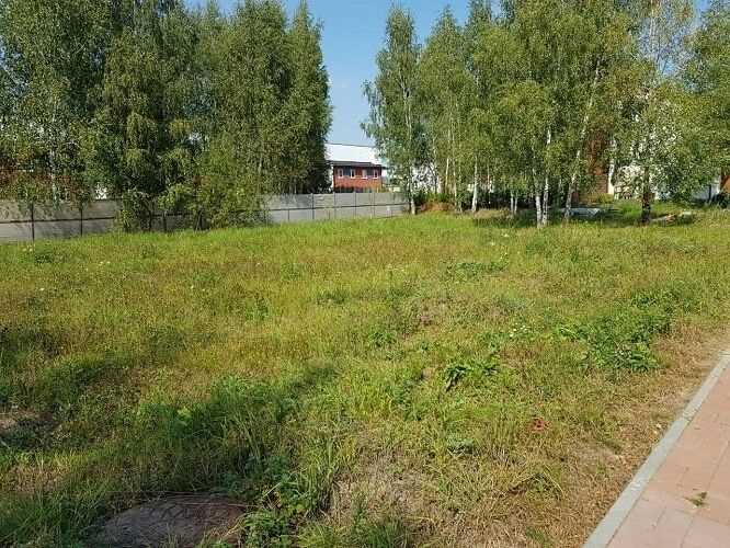 Уход за участком после повышения уровня земли