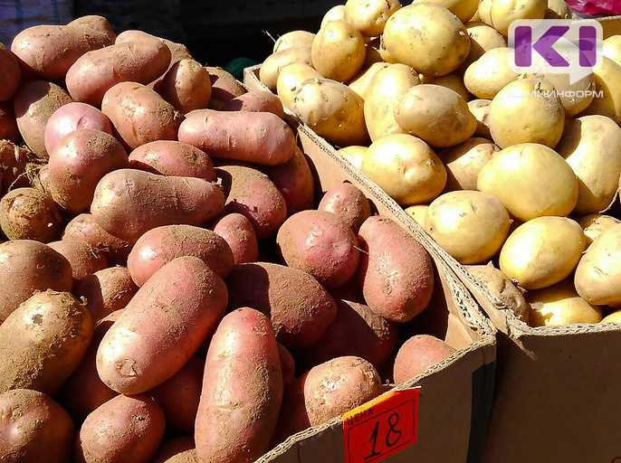 Определение сроков посадки: когда высаживать картофель для максимального урожая?