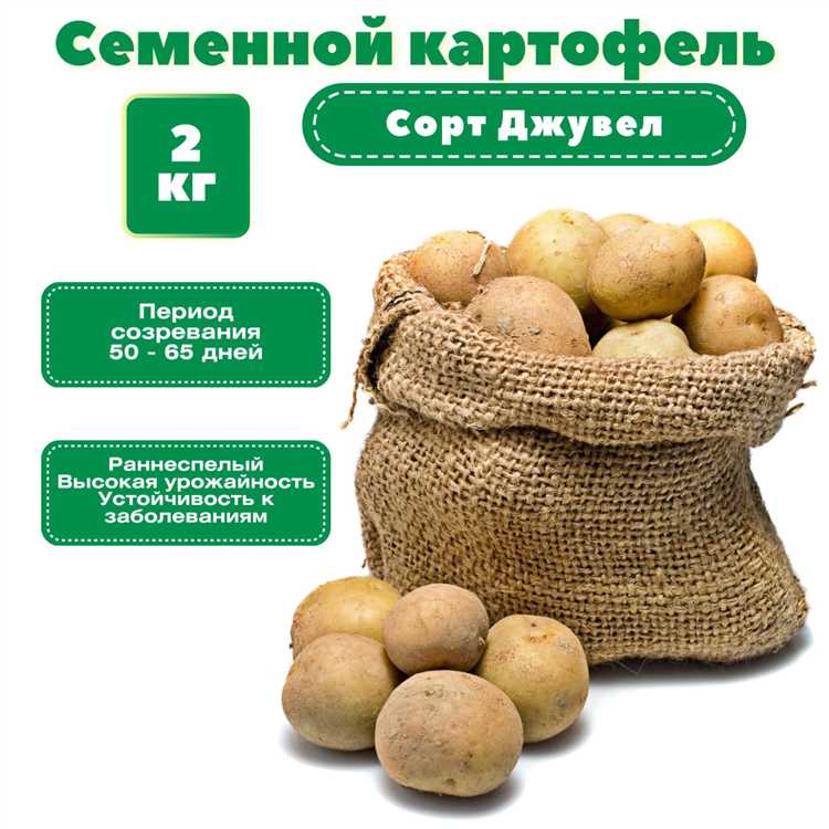 Выбор картофеля: какие сорта лучше подходят для вашего региона?