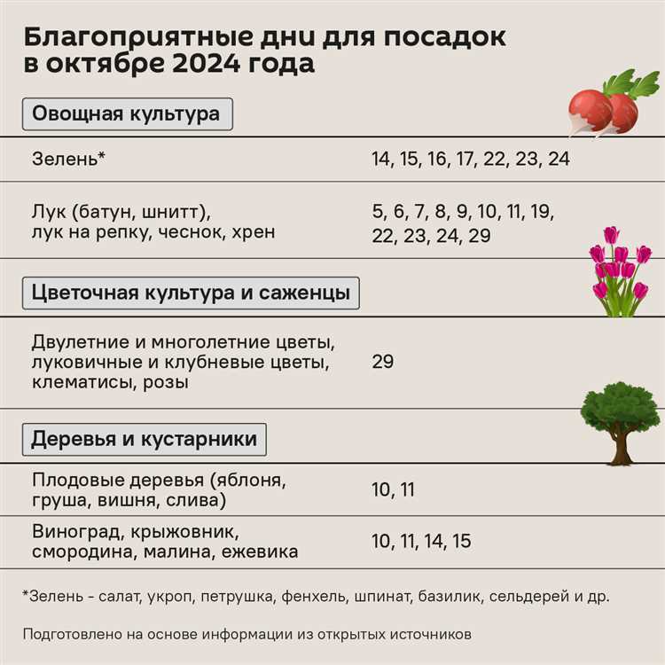 Подготовка почвы к зимнему периоду для защиты растений