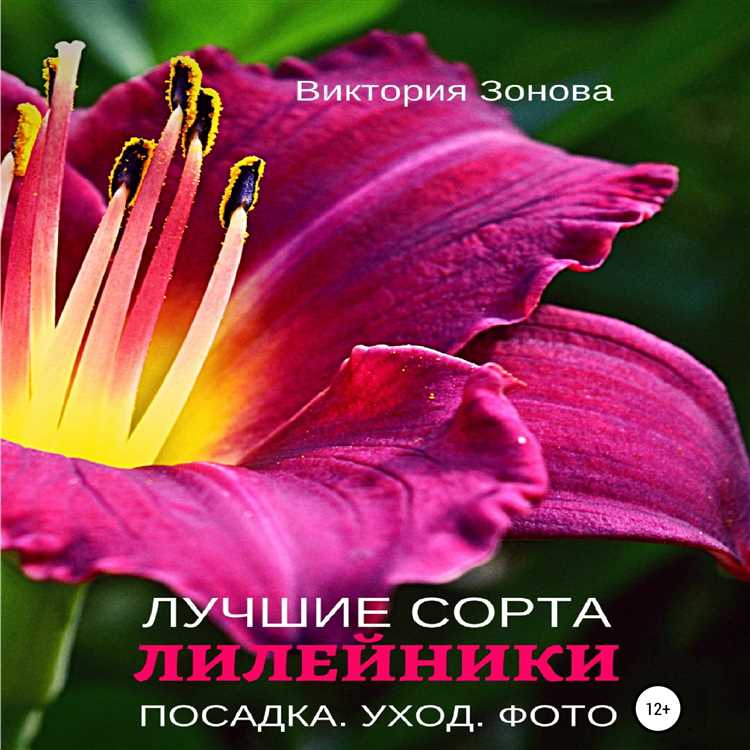 Уход за лилейниками: полив, подкормка и обрезка