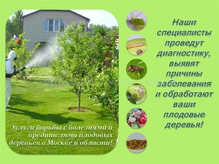 Химические препараты для защиты растений от тли