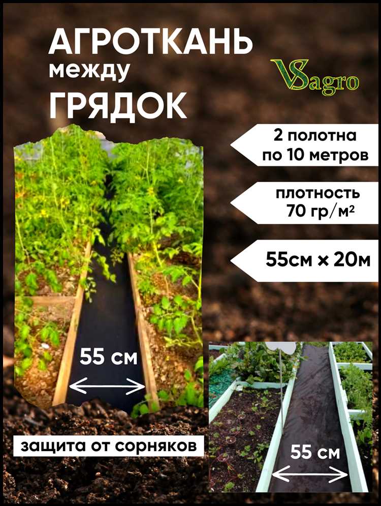 Сидераты как альтернативный способ борьбы с сорняками