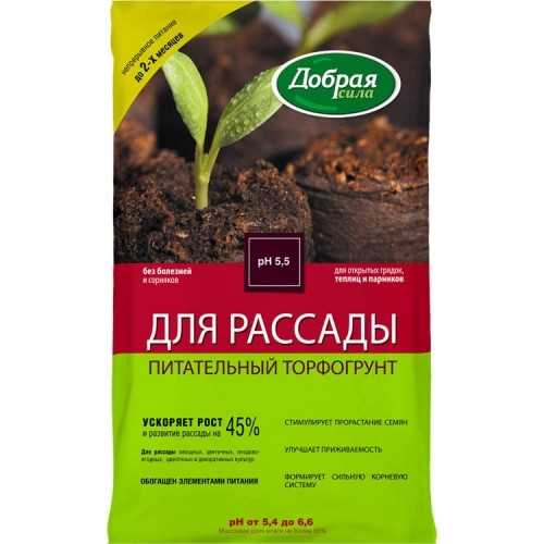 Как часто проводить подкормку рассады для достижения лучших результатов?