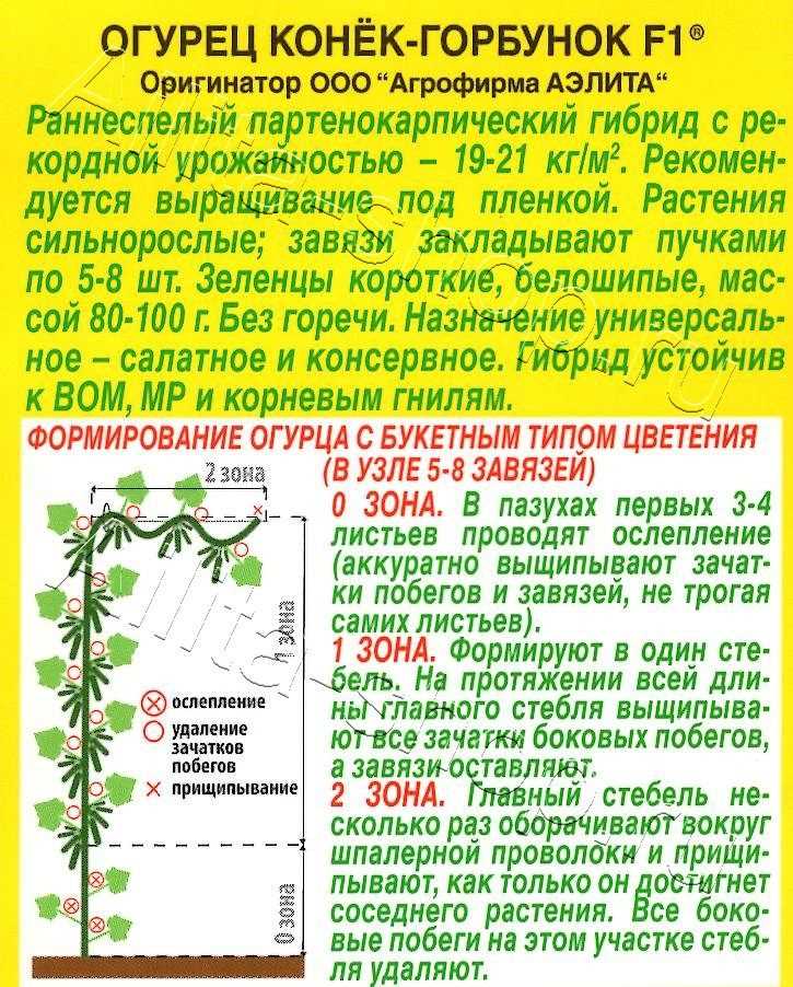 Сопротивляемость к заболеваниям и стрессовым условиям
