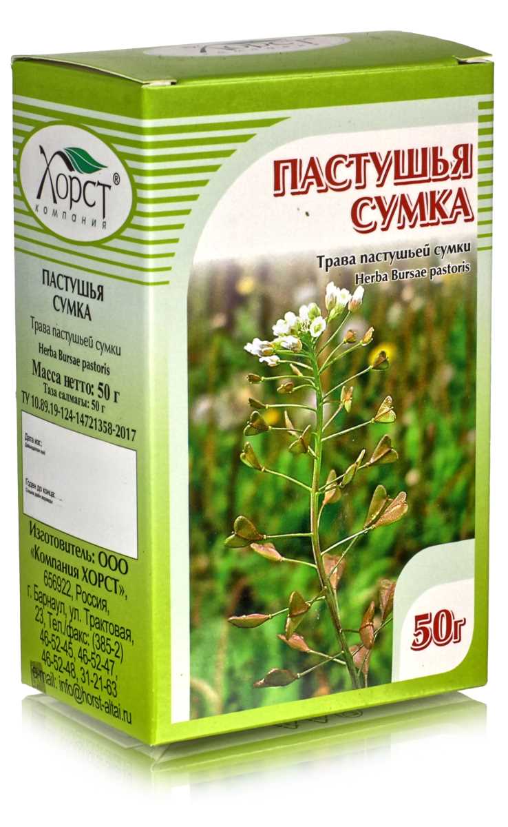 Как отличить пастушью сумку от других растений