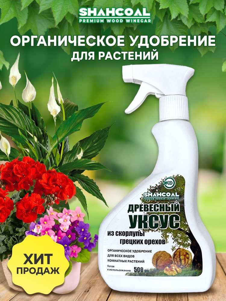 Как уксус помогает в уничтожении тли на растениях