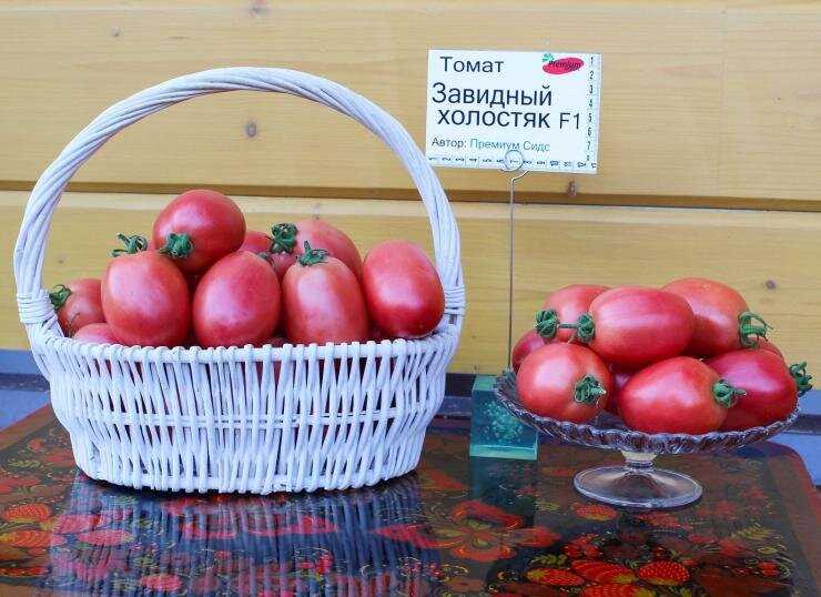 Пикировка