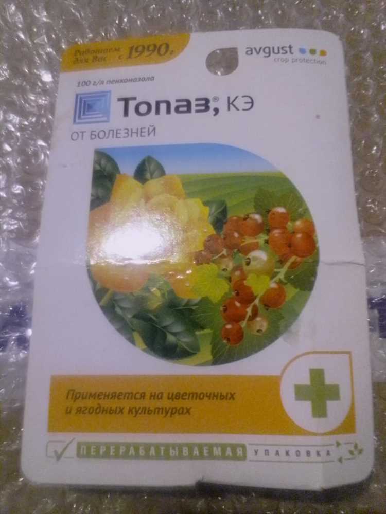 Безопасность и меры предосторожности при работе с Топазом КЭ