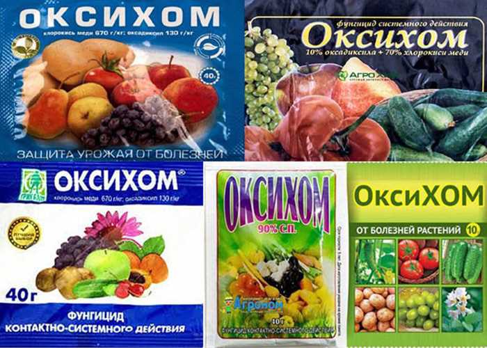Правила хранения Оксихома: как избежать потерь качества