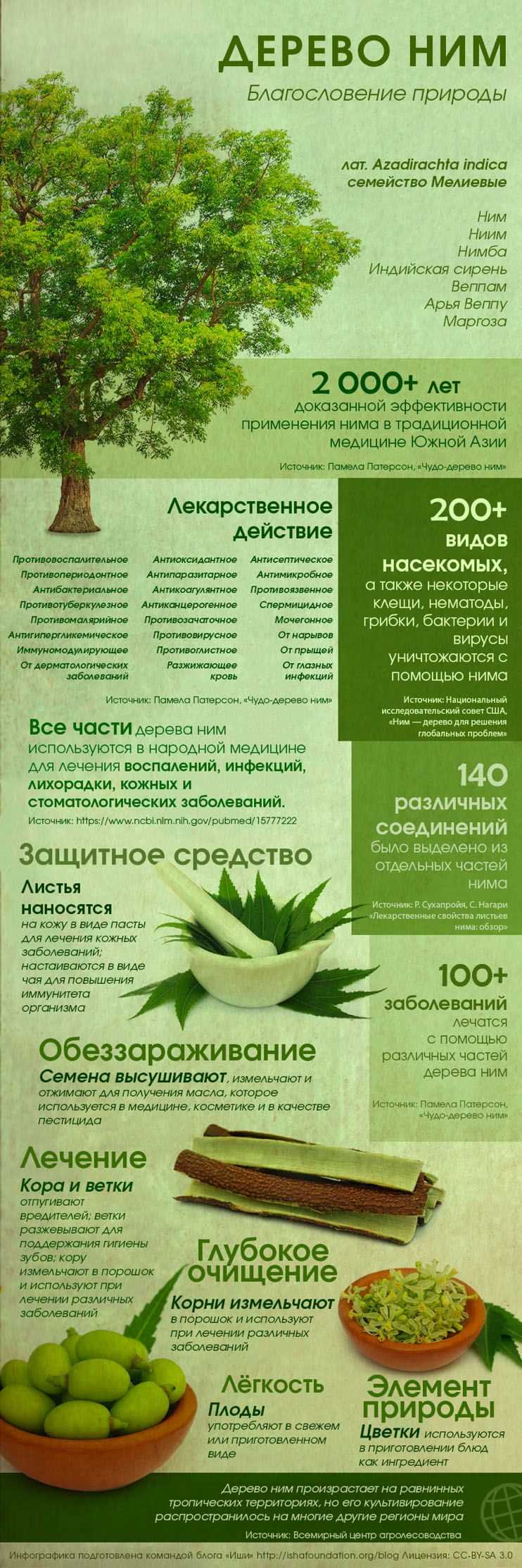 Как витамины влияют на фотосинтез у растений?
